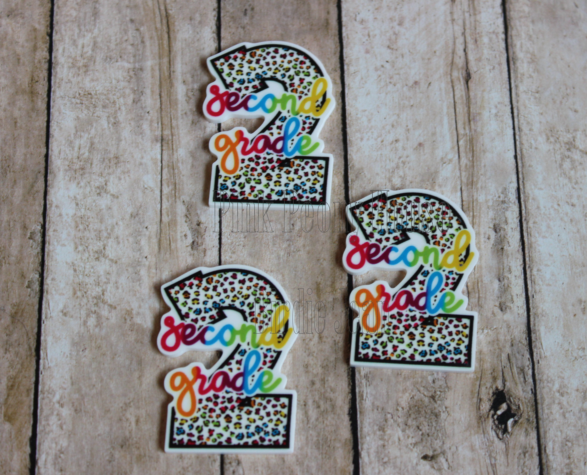 2ndgraderesin1a Planar Resin Flatback (3 pcs) Leopard Neon Second 2nd Grade