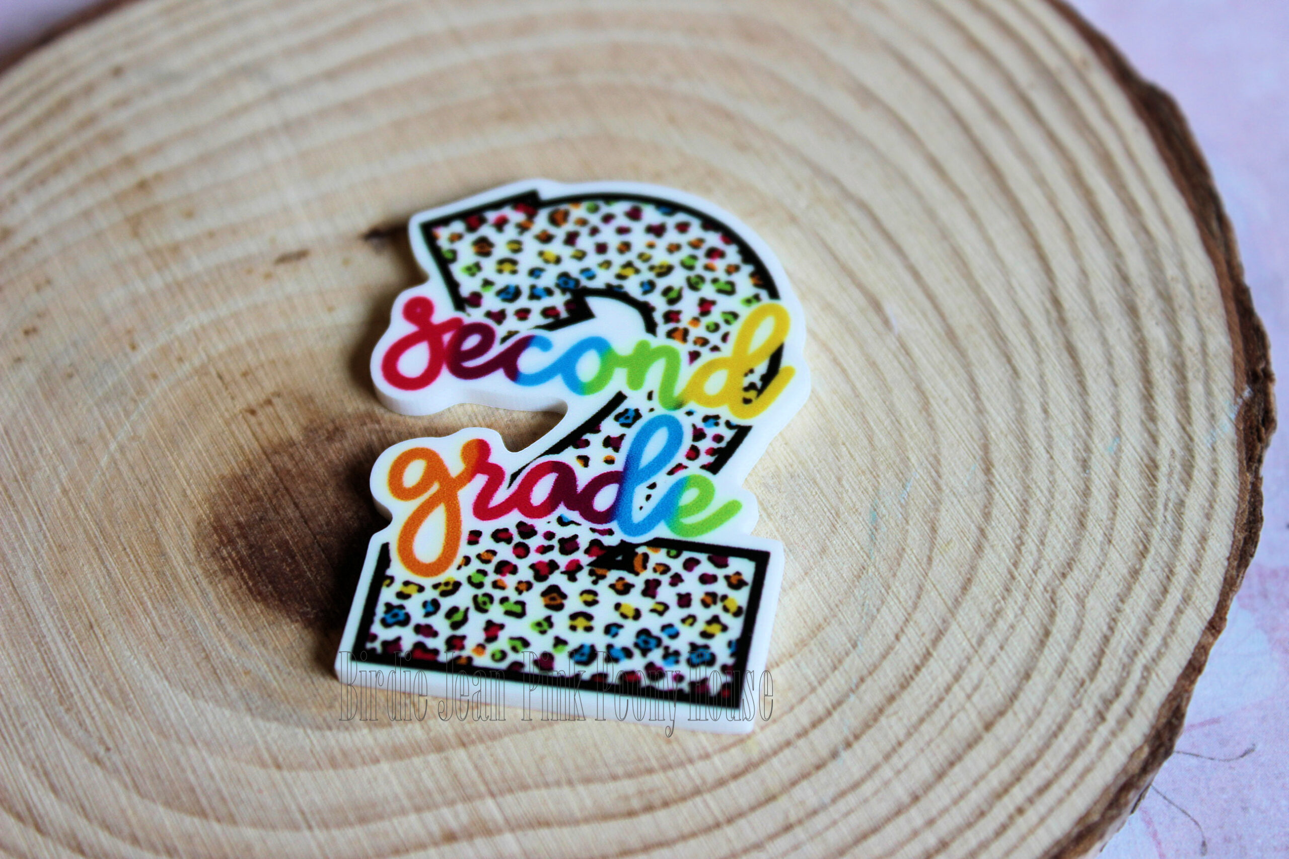 2ndgraderesin3 Planar Resin Flatback (1 pc) Leopard Neon Second 2nd Grade