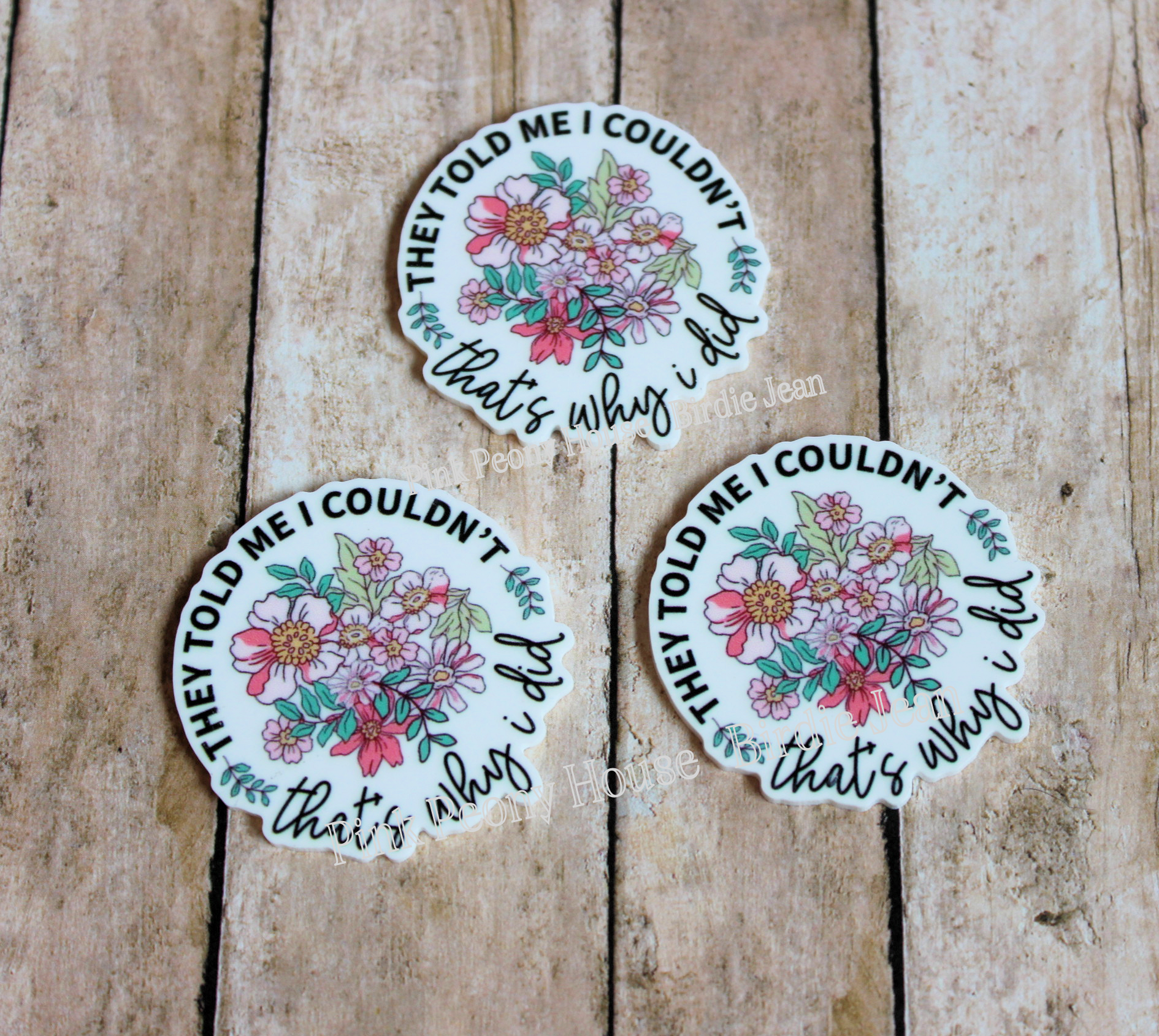 They Told Me I Couldn't, that's why I did - inspirational quote Flatback planar resin (1 pc)