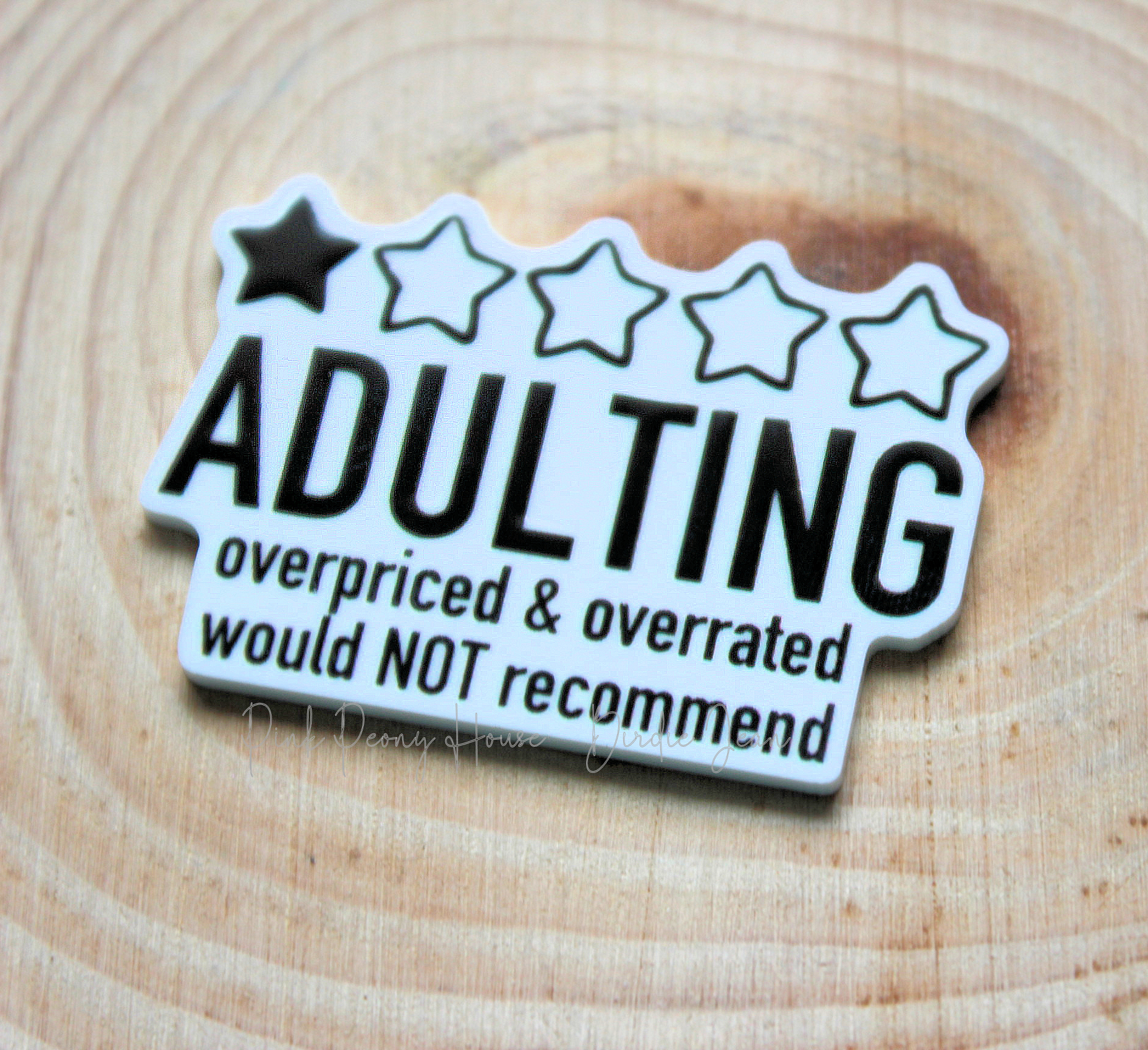 Adulting Funny Planar Resin Flatback