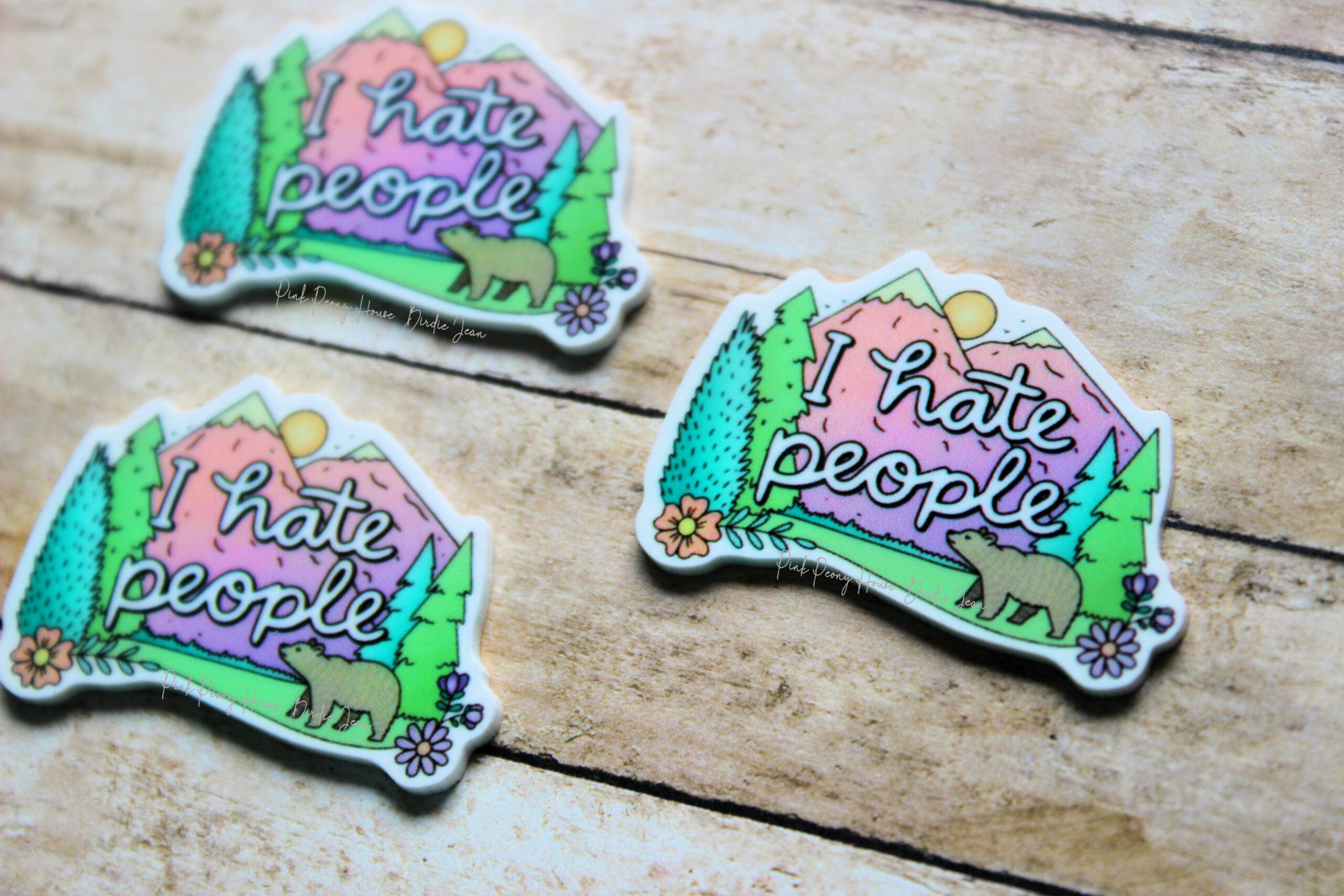 hatepeople3b I Hate People Funny Planar Resin Flatback (3 pcs )
