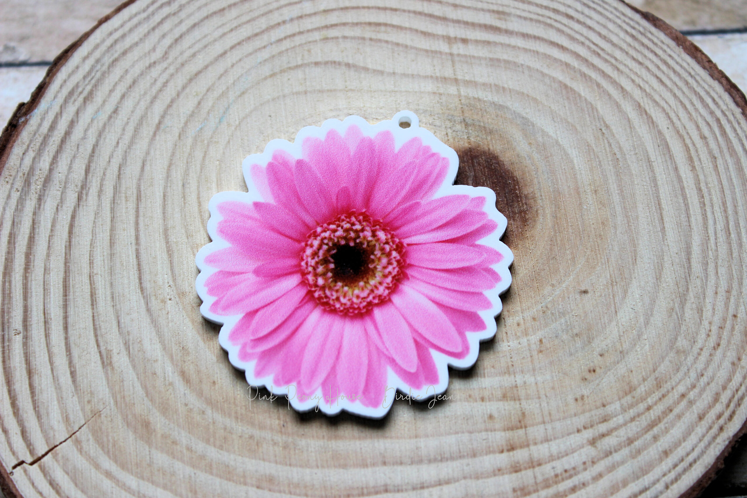 pinkdaisy1b