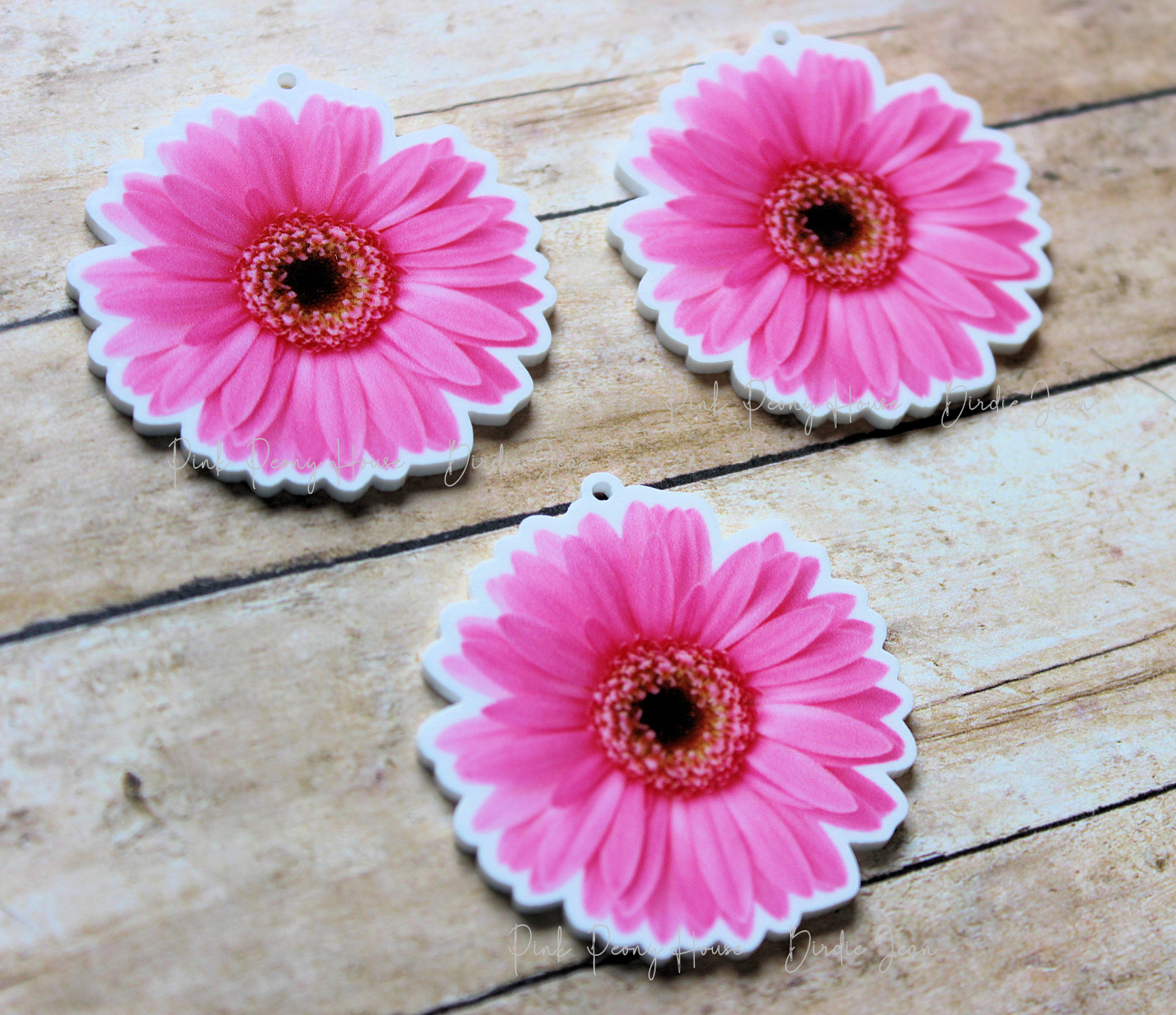 pinkdaisy3b