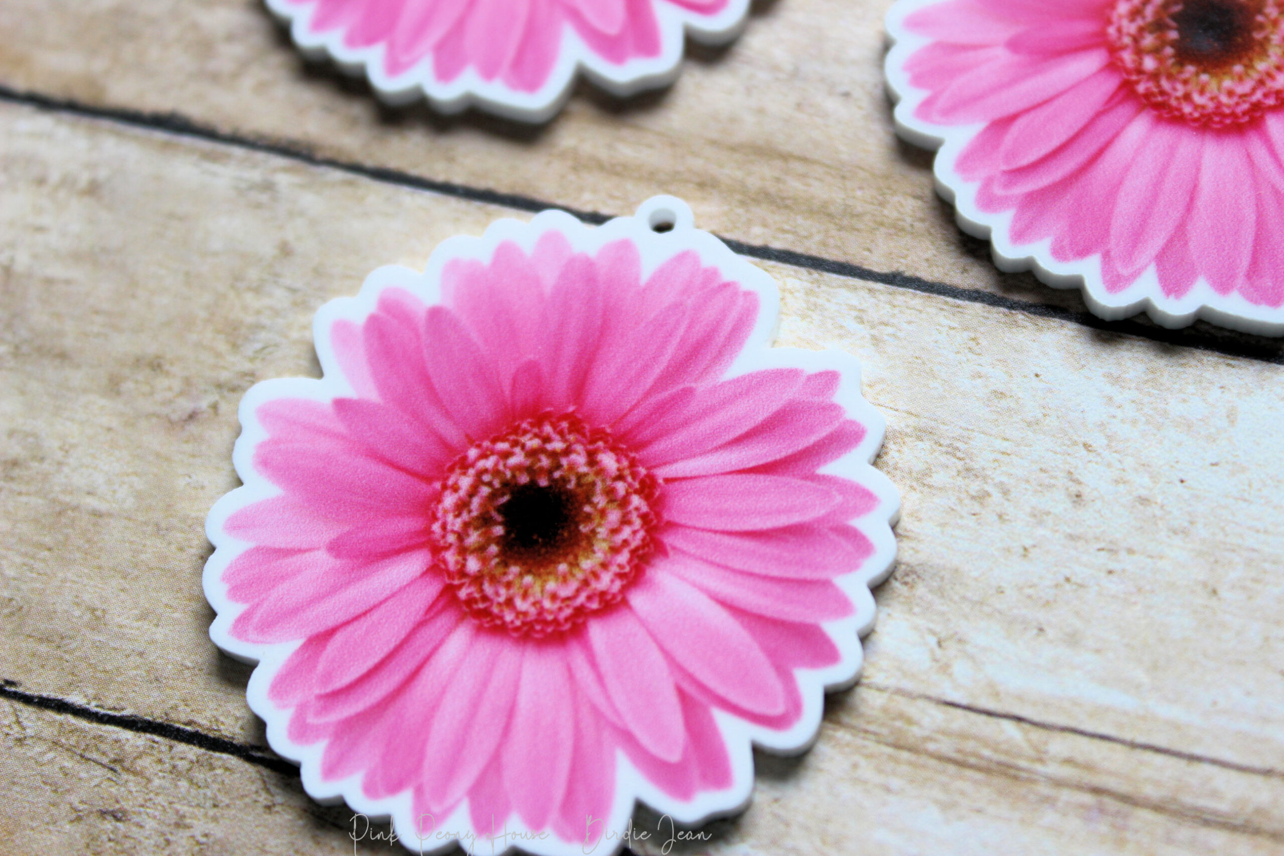 pinkdaisy3c Gnome Bee Kind Bees Planar Resin Flatbacks ( 3 pcs )