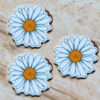 whitedaisy1aa White Shasta Daisy Flower Planar Resin Flatbacks ( 3 pcs )
