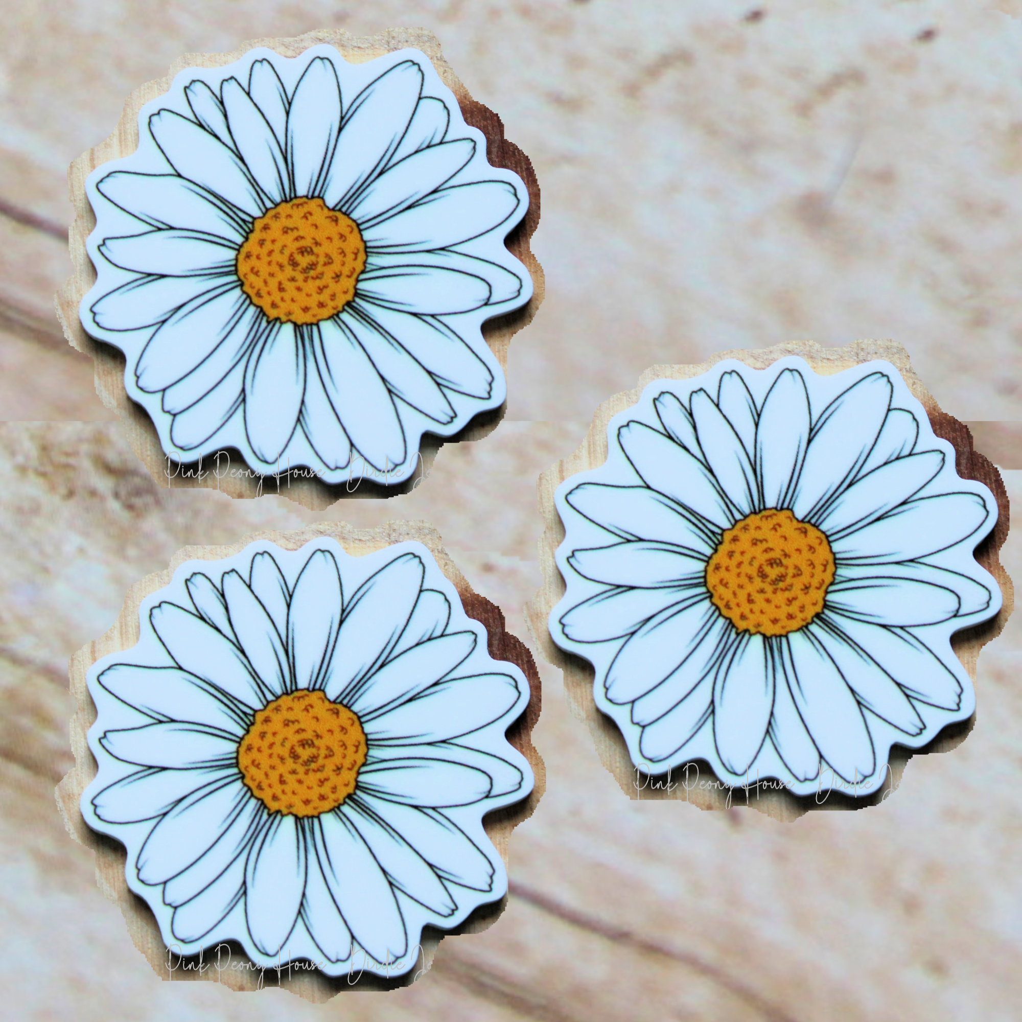 whitedaisy1aa White Shasta Daisy Flower Planar Resin Flatbacks ( 3 pcs )