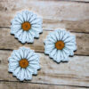 whitedaisy3c White Shasta Daisy Flower Planar Resin Flatbacks ( 3 pcs )