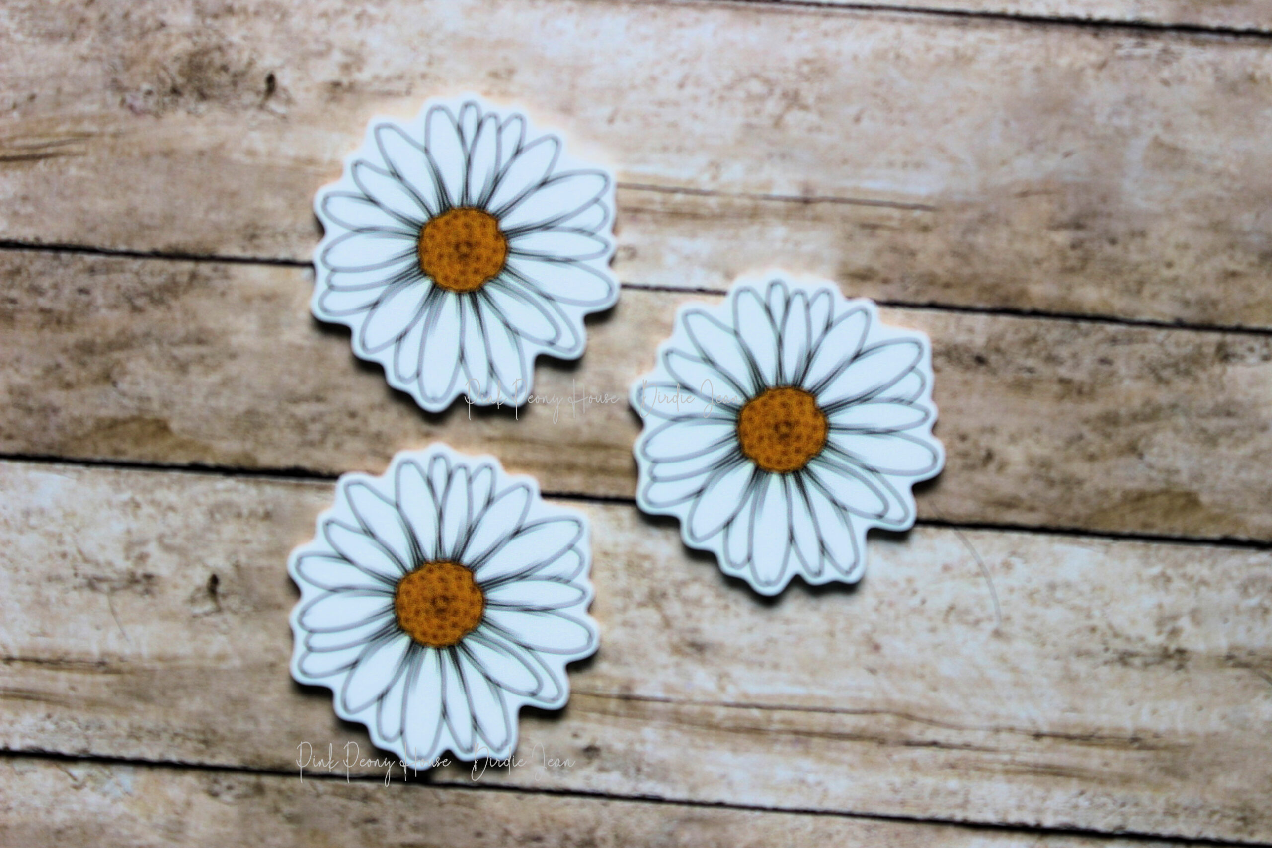 whitedaisy3c White Shasta Daisy Flower Planar Resin Flatbacks ( 3 pcs )