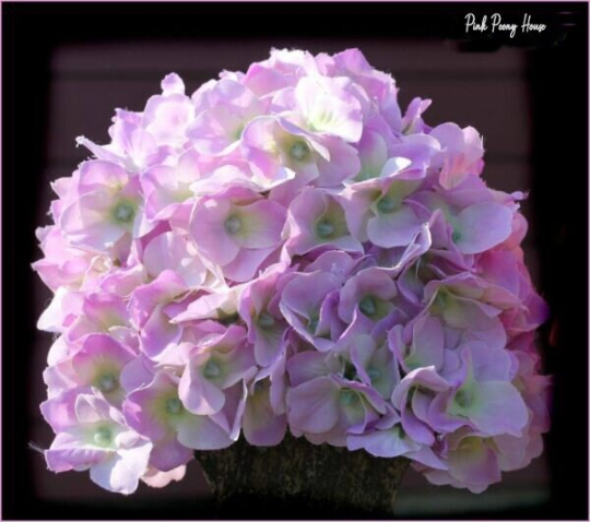 DIY Learn to Make a Hydrangea Petal Hat Newborn hat Baby Girl Photo Prop Tutorial Digital PDF Download Photographer Instructions Ebook instant download tutorials